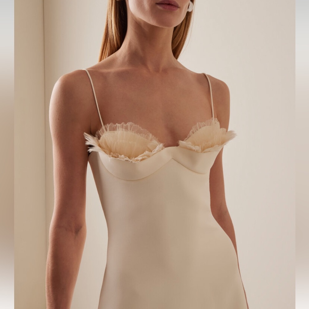 David Koma Balconette Feather/Tulle Mini Dress - Picture 6 of 9